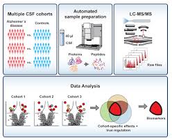 Image result for CSF Protein