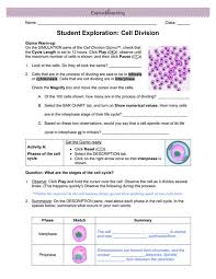 An answering provider, unlike an automatic answering machine along with a recorded message, will present your potential consumers cell phone responses with a real voice in the event you are unavailable to this can be relevant to student exploration building dna gizmo answer key. Student Exploration Building Dna Gizmo Answer Key Pdf C 1 1 Assignment Cell Division Gizmo Docx Assignment C 1 Gizmo Student Exploration Building Dna Answer Key