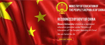 Binary university of management and entrepreneurship. Binary University Management Entrepreneurship