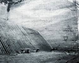 Bildergebnis für Ala D'Amico