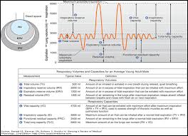 Lung Volumes Medical Quick Review Of Basics Volume And Capacity Volume Lunges