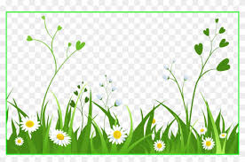 Download Svg Library Download Inspiring Grass Outline Border Daisy Background Png Clipart Transparent Png 908x560 5211055 Pngfind