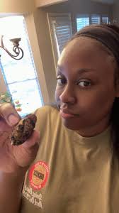 Potatoes eaten or rotten in garden