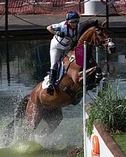 Bei ebay finden sie artikel aus der ganzen welt. Olympische Sommerspiele 2012 Reiten Wikipedia