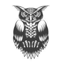 Owl tattoo has thousands of meanings but it depends on you what you are planning to portray through that. Owl Tattoo Vector Images Over 3 400