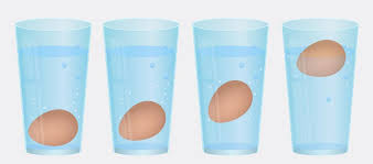 We did not find results for: Le Uova Che Hai Acquistato Sono Ancora Fresche Ecco Come Scoprirlo