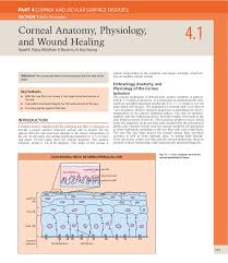 Corneal Anatomy Physiology And Wound Healing
