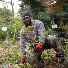 Prospect Park's trees are getting some much needed TLC! 🌳 Brooklyn's  Backyard is home to 30,000 trees that help keep our air clean, provide  shade + cool our earth. From inoculating our
