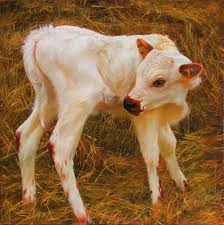 Teresa Elliott Morning Star Oil 36 X 36 Southwest Art Magazine Animal Paintings Cow Painting Animal Art