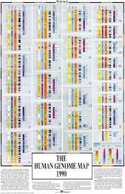 codification human genome timeline design map