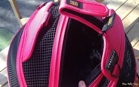 It's your pet's personal space, designed to fit his/her individual needs. Sleepypod Mobile Pet Bed A Stylish Pet Carrier Bed Car Seat All In One Petpalooza2 Miss Molly Says