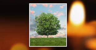 Edna Gay Dahlinger Obituary May 17, 2014