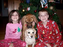 Martha stewart's house decorated for christmas. Drinking And Decorating The Anti Martha Stewart Pottery Barn Christmas Tree Riverboxx