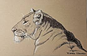 Zeichnen Auf Grauem Karton Sofakitty Tierportraits