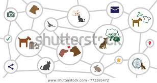 Vector Illustration Circles Chart Schemes Animal Stock