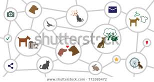 vector illustration circles chart schemes animal stock