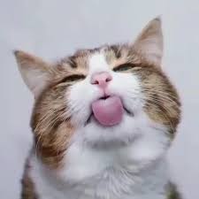 Kkaktrichannel~berikut contoh soal dan jawaban soal pkn yang diambil dari buku paket pkn kelas 8 semester 1 kurikulum 2013 yang berisi pertanyaan tentang peraturan peraturan hukum , tabel 3.1 daftar pertanyaan, pkn kelas 8 hal 52. Tabel 3 1 Ips Kelas 8 Halaman 139tolong Jawab Brainly Co Id