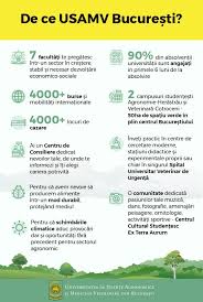 Universitatea de stiinte agronomice si medicina veterinara bucuresti july 2 at 10:22 am · 👉 te așteptăm în cel mai frumos campus universitar, locul în care activitatea didactică se îmbină cu cea de relaxare 💆🏼‍♀️ 💆🏻‍♂️ ne mândrim pentru că avem cu ce! Admiterea La Facultate Este Acum Online In Usamv BucureÈ™ti Evenimentul Zilei