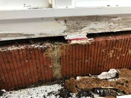 Maybe you would like to learn more about one of these? Conservatory Leak At Floor Level Diynot Forums