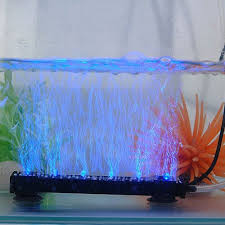 Pin On Fish Tank Ideas
