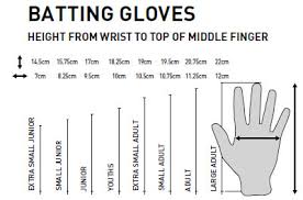 Buy The Gm 505 Cricket Gloves 2019 Next Day Delivery