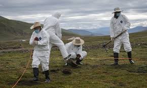 Check spelling or type a new query. 3 Year Old Diagnosed With Bubonic Plague In Yunnan Won T Infect Others Global Times