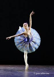 Really Amazing Peacock Ballet Costume Use These Colours For A More Subtle Peacock Wedding So Pretty Ballet Pictures Ballet Costumes Dance Costumes