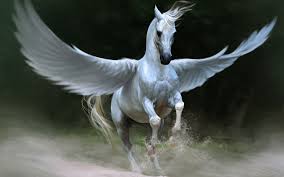 Black And White Wings Wallpaper White Horse With Wings Horse Wallpaper Greek Mythological Creatures Winged Horse