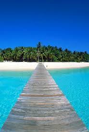Compare Hotels Best Hotel Deals Guaranteed Hotelscombined Key West Beaches Beautiful Places Dream Vacations