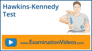 Image result for Hawkins Test