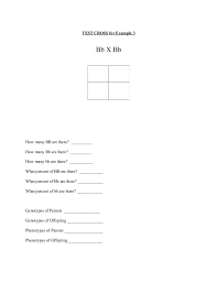 Brain pop activities to learn about cells Punnett Square Lesson Plan