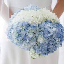Globe thistle and hydrangeas are stunning blue accents to the peach flowers in this wedding bouquet. 22 Gorgeous Hydrangea Wedding Bouquets