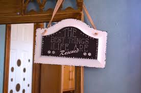 Before doing anything, make sure you change your address with the. Diy Decorate Your College Apartment On A Budget Lifestyles Collegiatetimes Com