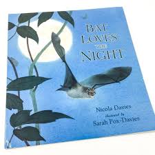 Bat Loves The Night By Nicola Davies Illustrated By Sarah Bat Scholastic Book Sound Picture