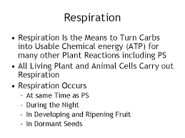 We already learned that plants make their food during. Photosynthesis And Respiration Http Www Ualr Edubotanyphotosynthrxns Gif