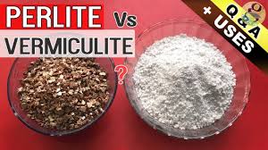How much perlite to add? Perlite Vs Vermiculite In Garden Soil Benefits And Difference Between Perlite And Vermiculite Youtube