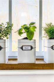 Hanging indoor herb garden planter herbs nz simple house decor. 32 Best Diy Herb Garden Ideas Tutorials Crazy Laura