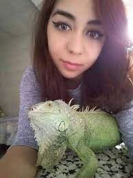 Iguana Love Iguana Baby Iguana Fur Babies