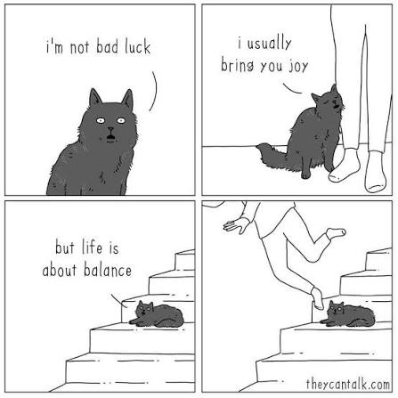 This cartoon is for everyone who owns a black cat and knows that the  superstition that black cats are unlucky is silly 🖤 Comic by They Can Talk