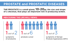 Maybe you would like to learn more about one of these? Prostate Is It An Ally Or An Enemy In Sex Isud