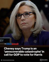 Former Rep. Liz Cheney, a once-rising star in the GOP who fell out with her  party over her criticism of Donald Trump, slammed the former president as  an "unrecoverable catastrophe" in her