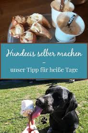 Hundeeis Selber Machen Unser Tipp Fur Heisse Tage Jack Auf Reisen Eis Fur Hunde Hundeleckerli Hunde Futter