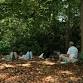 Forest Bathing event in Newbury