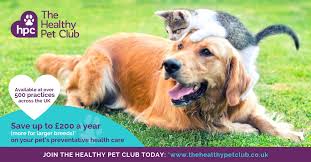 If you don't want to go through the. Pet Health Club Vaccinations Worming More Severn Edge Vets