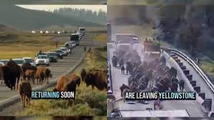 Chihan club porn she created me feel relaxed and I enjoyed.