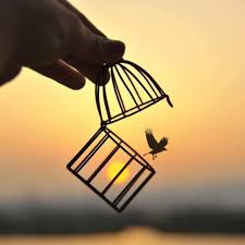Pin By Shreya On Diseno Miniature Photography Art Photography Cute Photography