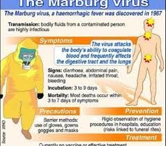 It was discovered in 1967 and named after one of the pathogens cause similar symptoms, with a chance to spread quickly. Rbc Warns On Marburg Hemorrhagic Fever The Virus Confirmed In Uganda Rwanda Inspirer