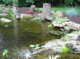 Experienced pond owners and designers recommend building an arbor or archway over a pond so that birds can't see what's in the pond when they fly overhead. Nature S Re Creations Backyard Ponds In St Louis