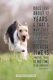 Black lives matter activist greg robinson on pbs' 'tulsa: Dog Quote Dogs Live About 12 Years Dog Dog Quotes Inspirational Quotes Funny Quotes Life Quotes Dog Quotes Inspirational Dog Quotes Dog Quotes Funny
