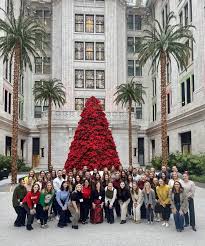 Allison Haller M.Ed.